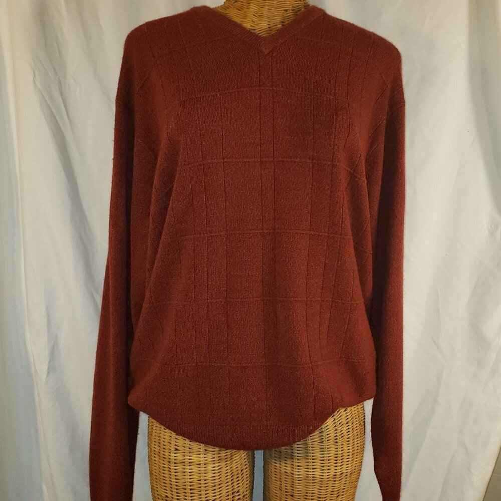 Geoffrey Beene  Men's Textured Rust Pullover V-Neck Sweater - L